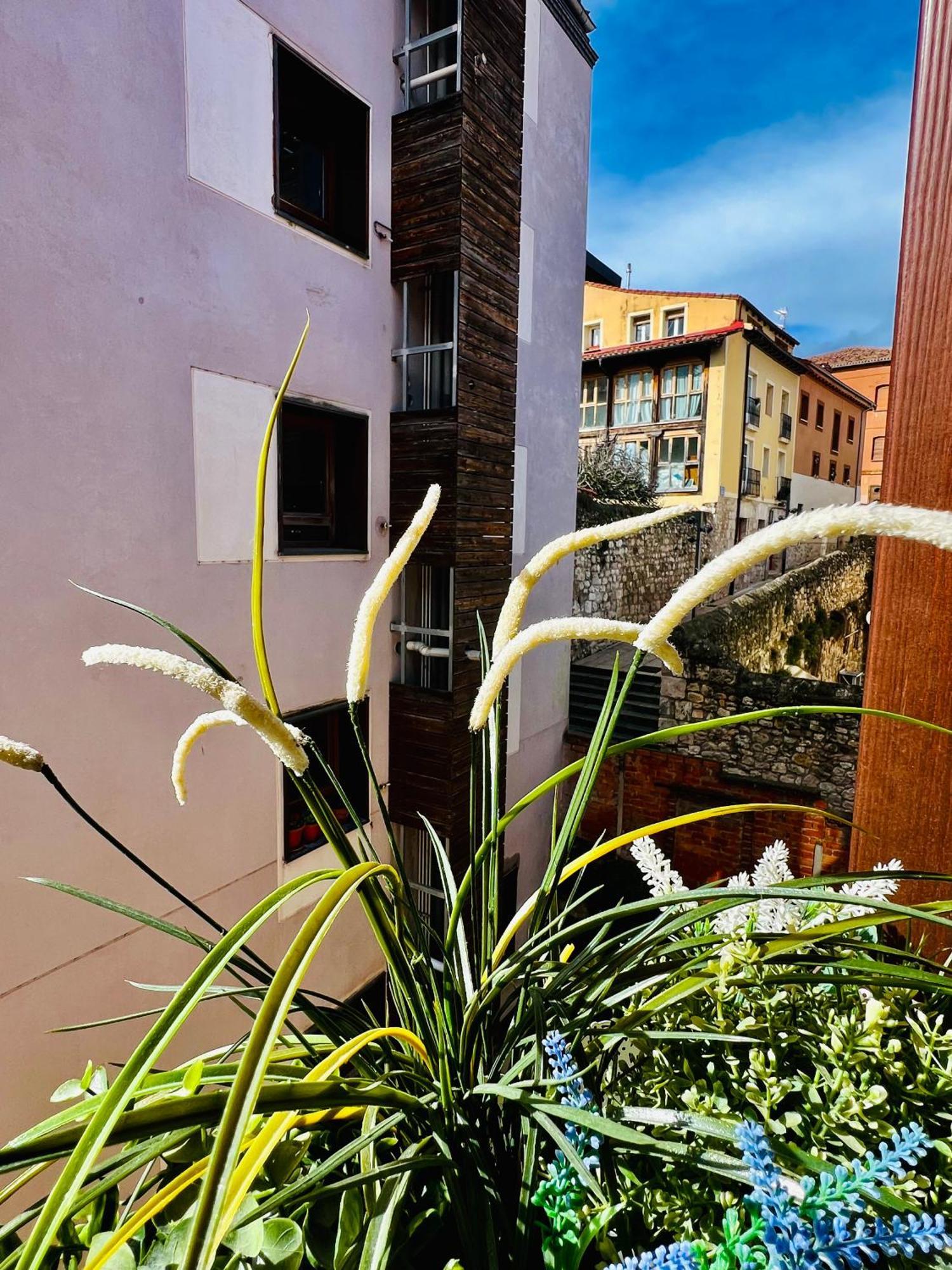 El Capricho De Claudia_ Apartamentos Burgos Catedral ภายนอก รูปภาพ